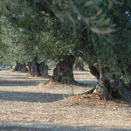 Casa Campari Διαμέρισμα Ostuni Εξωτερικό φωτογραφία